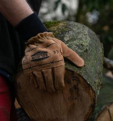 Gant débardage - élagage - Solidur en action portant une bûche de bois