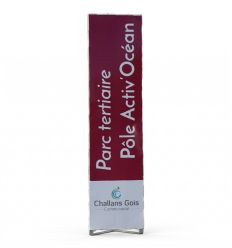 Totem Publicitaire Extérieur Monobloc Économique