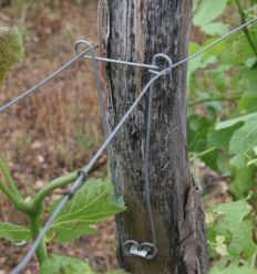 Ecarteur Vigne sur Piquet Bois