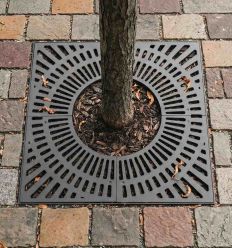 Grille d'Arbre en Fonte Carré Éco 1x1m