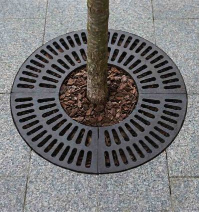 Mise en situation Grille protection arbre
