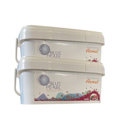 Dosette désodorisante pour toilette de chantier - blue pearl 