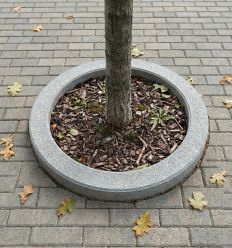 Mise en situation Entourage d'Arbre en Béton Rond