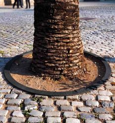Mise en situation Entourage d’arbre rond en fonte