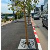 Grille d'arbre en fonte carré PMR