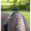 Ceinture de poulinage