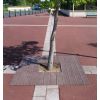 Mise en situation Grille d'arbre en Plastique recyclé marron