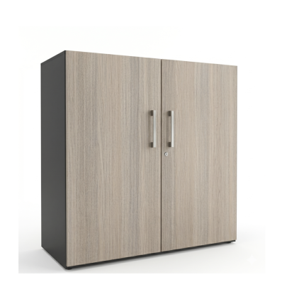 Armoire basse de bureau 2 portes​ battantes - Métal / Bois