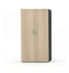 Armoire de bureau 2 portes​ battantes - Métal / Bois