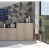 Armoire professionnelle basse de bureau