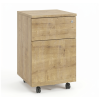 Caisson bureau professionnel premium 2 tiroirs