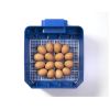 Couveuse pour les oeufs
