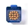 Couveuse pour les oeufs