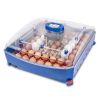 Couveuse oeufs de poule