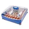 Couveuse oeufs de poule