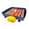 Couveuse Borotto Real 49 automatique