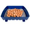 Couveuse Borotto 49