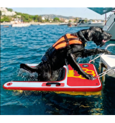 Rampe gonflable pour chien​