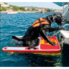Rampe gonflable pour chien​
