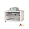 Couveuse fiem cip cip 40