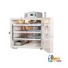 Incubateur oeufs - capacité 70 - FIEM