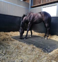 Matelas en caoutchouc pour box cheval Bubble King