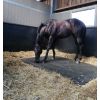 Matelas en caoutchouc pour box cheval Bubble King