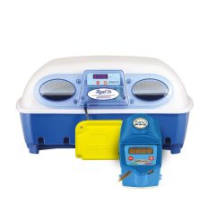 Couveuse Borotto Real 24 oeufs avec pompe Sirio