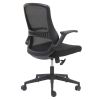 Dos de la chaise de bureau avec accoudoirs relevables