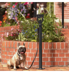 Mise en situation potelet accroche laisse de chien