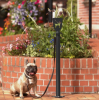 Mise en situation potelet accroche laisse de chien