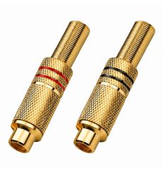 Fiche rca femelle professionnelle
