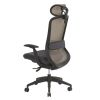 Dos de la chaise de bureau ergonomique synchrone