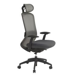 Chaise de bureau ergonomique synchrone grise