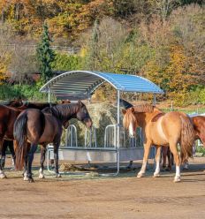 Râtelier de prairie pour chevaux 12 places
