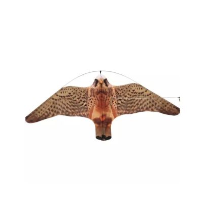 Effaroucheur cerf volant faucon