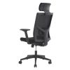 Dos de la chaise de bureau ergonomique