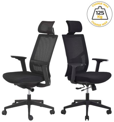 Chaises de bureau ergonomique