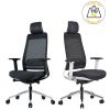 Chaises de direction professionnel