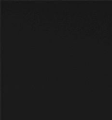 NOIR RAL 0007