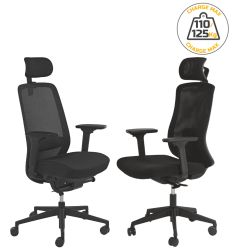 Fauteuil de bureau ergonomique professionnel