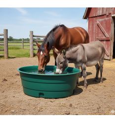 bac de paturage chevaux pehd vert