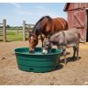 bac de paturage chevaux pehd vert