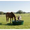 bac a eau pehd vert pour animaux