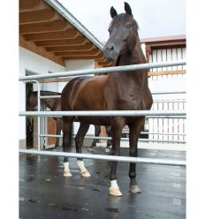 Tapis Belmondo Paddock pour extérieurs
