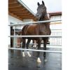 Tapis Belmondo Paddock pour extérieurs