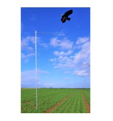 Cerf volant effaroucheur avec mat