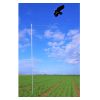 Cerf volant effaroucheur avec mat