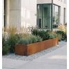 Jardinière en acier corten rectangulaire en action devant bâtiment