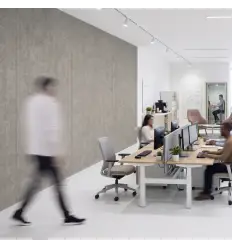 Mur acoustique professionnel